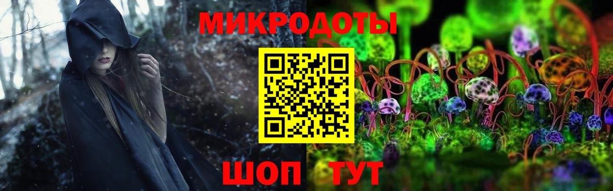 Галлюциногенные грибы Cubensis Алатырь